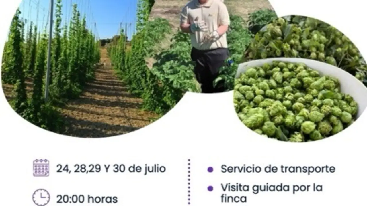 Visitas Finca Mauro